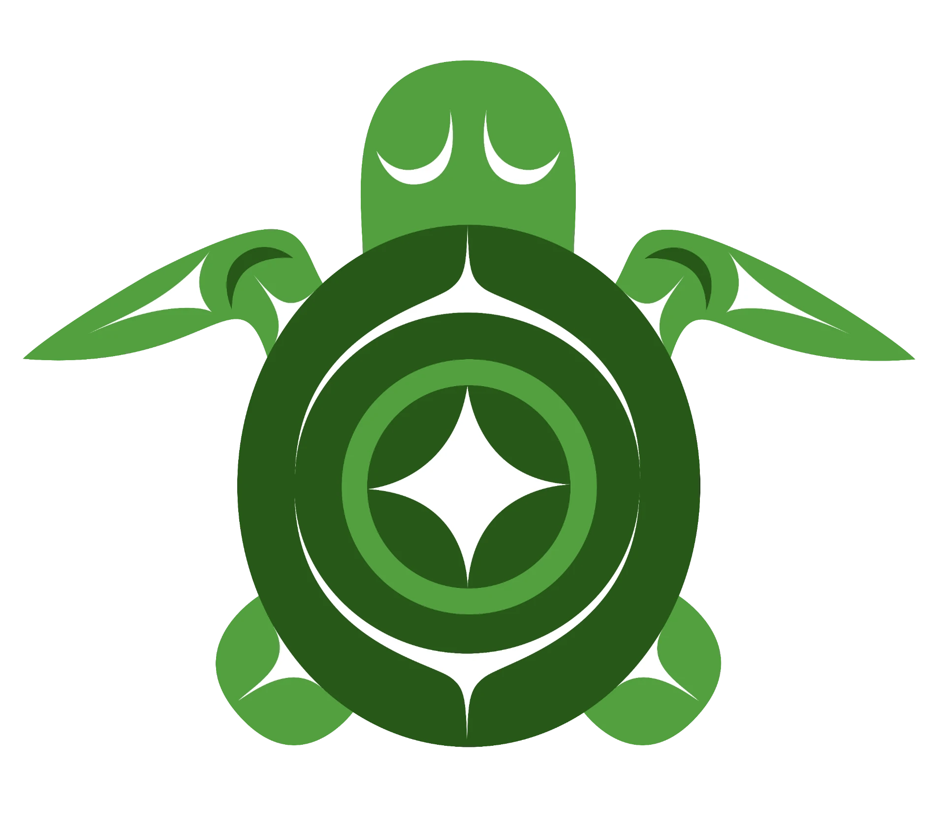 Coast Salish green turtle, the Turtle Island NFT logo